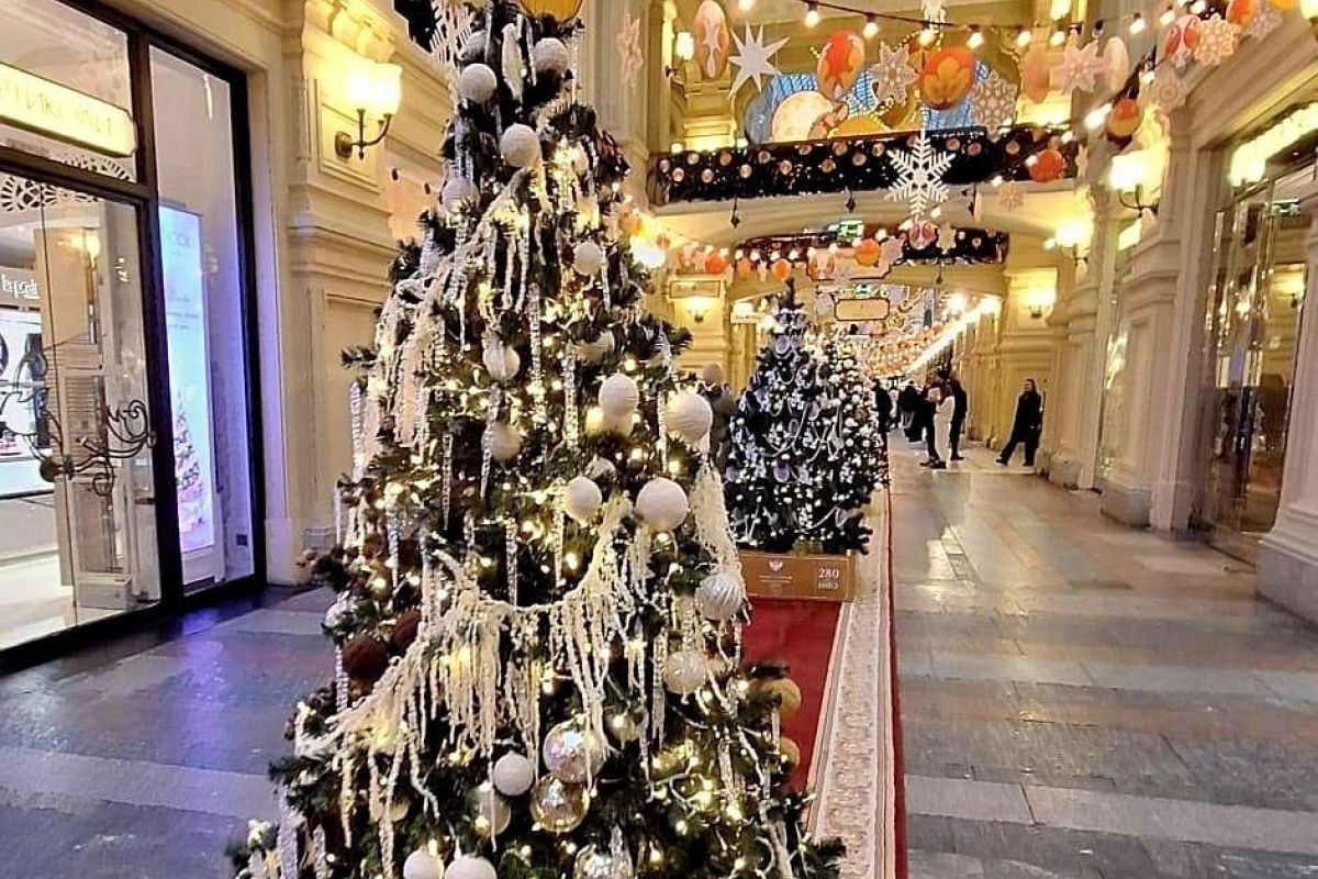 От вкуса к знаниям: новогодние приключения в Москве
