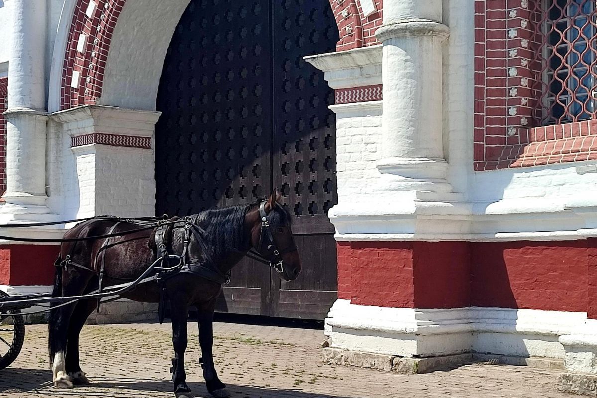 Москва «Очарование Царских садов»