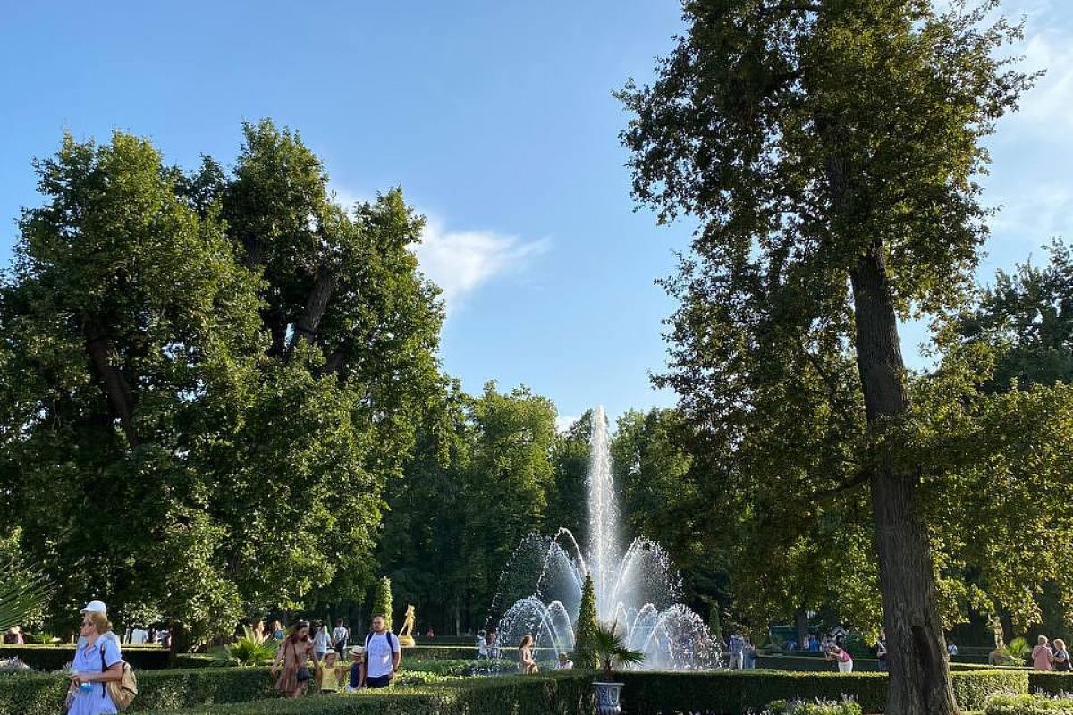Большое Северное путешествие: Петербург и Карелия