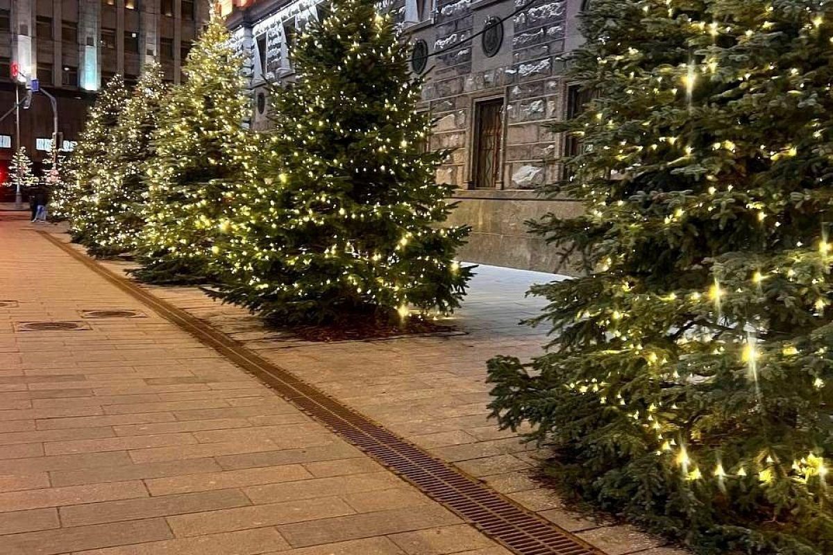 От вкуса к знаниям: новогодние приключения в Москве