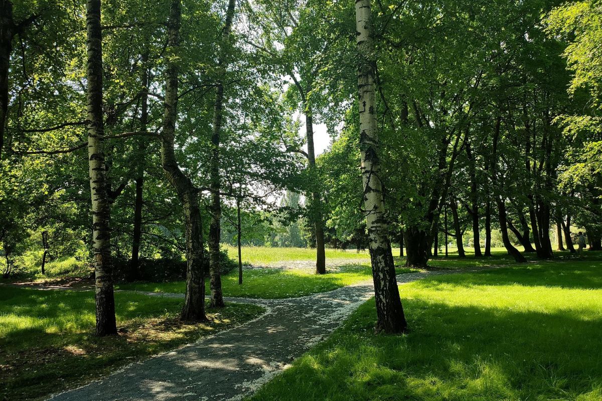 Москва «Очарование Царских садов»