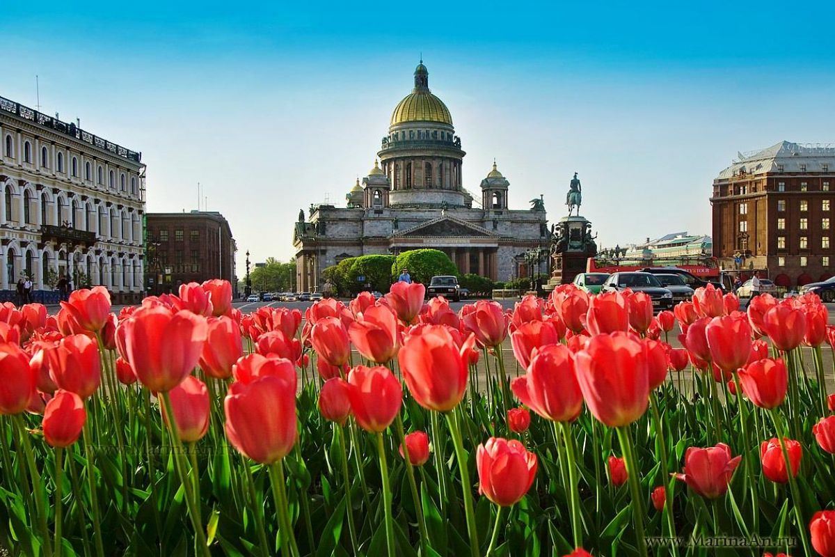 Большое Северное путешествие: Петербург и Карелия